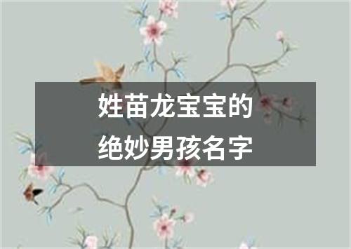 姓苗龙宝宝的绝妙男孩名字