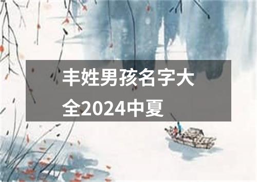 丰姓男孩名字大全2024中夏