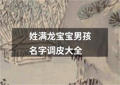 姓满龙宝宝男孩名字调皮大全