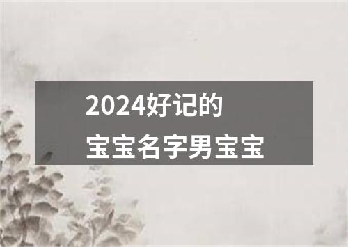 2024好记的宝宝名字男宝宝