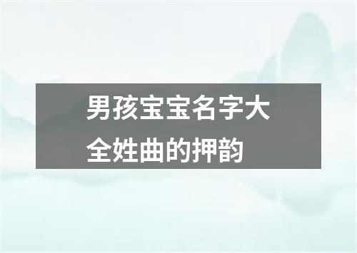 男孩宝宝名字大全姓曲的押韵