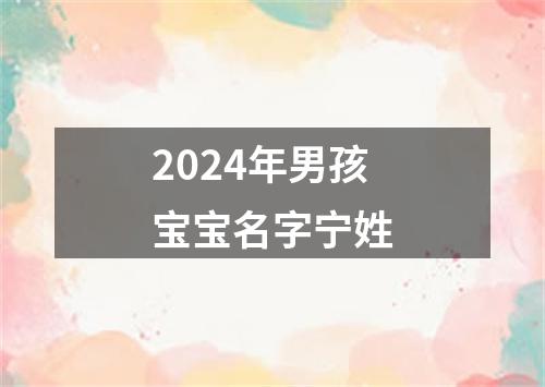 2024年男孩宝宝名字宁姓