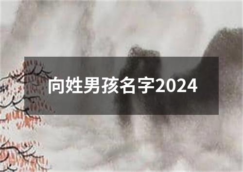 向姓男孩名字2024