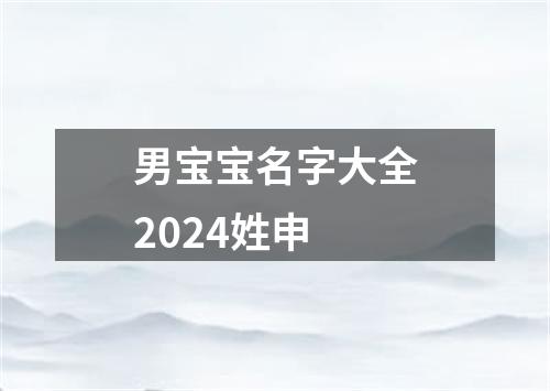 男宝宝名字大全2024姓申