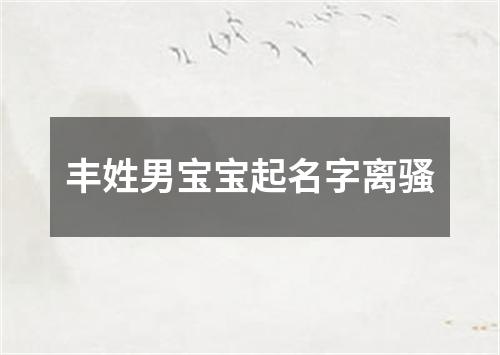 丰姓男宝宝起名字离骚