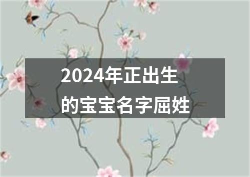 2024年正出生的宝宝名字屈姓