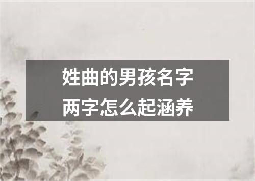 姓曲的男孩名字两字怎么起涵养