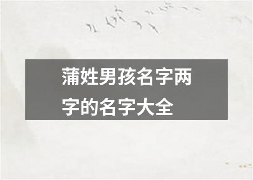 蒲姓男孩名字两字的名字大全