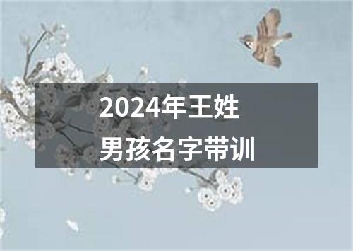 2024年王姓男孩名字带训