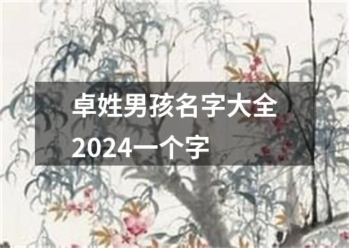 卓姓男孩名字大全2024一个字