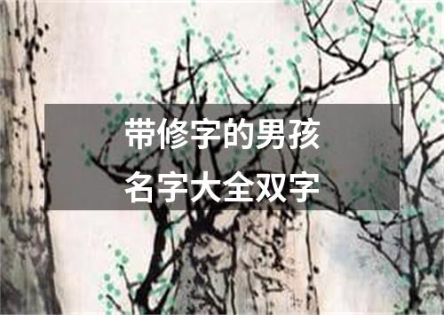 带修字的男孩名字大全双字