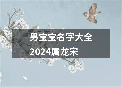 男宝宝名字大全2024属龙宋