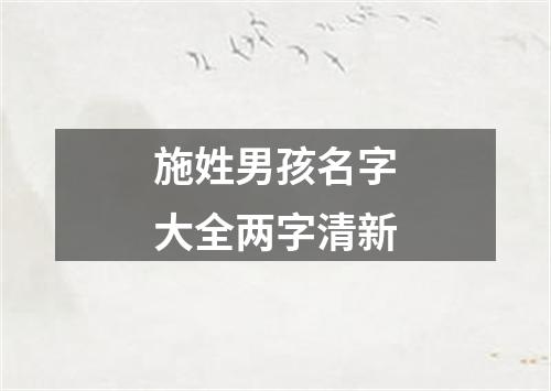 施姓男孩名字大全两字清新