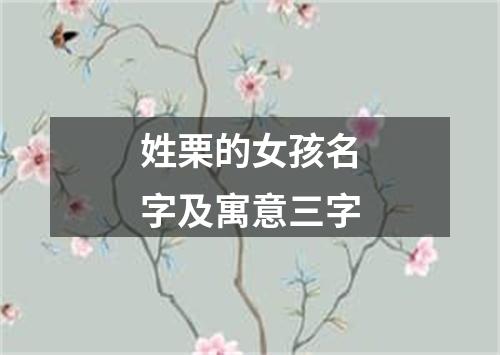 姓栗的女孩名字及寓意三字