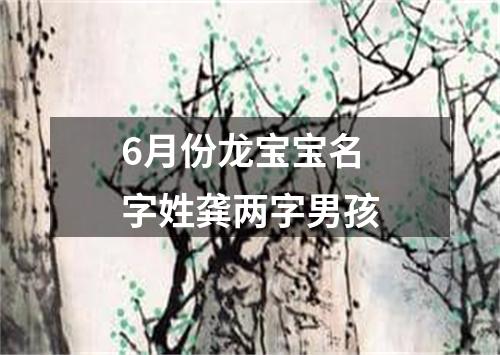 6月份龙宝宝名字姓龚两字男孩