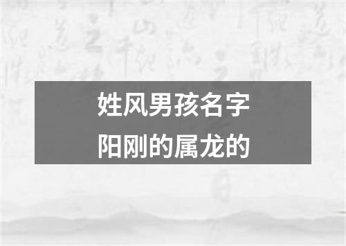 姓风男孩名字阳刚的属龙的