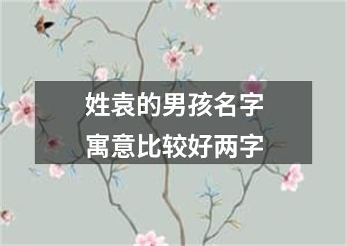 姓袁的男孩名字寓意比较好两字