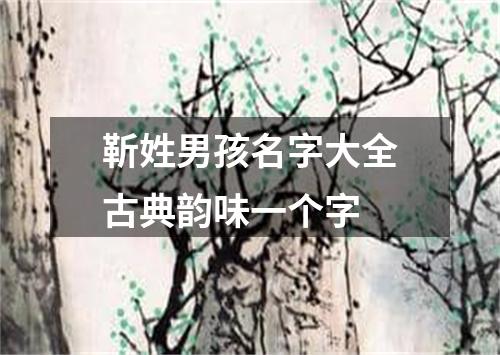 靳姓男孩名字大全古典韵味一个字