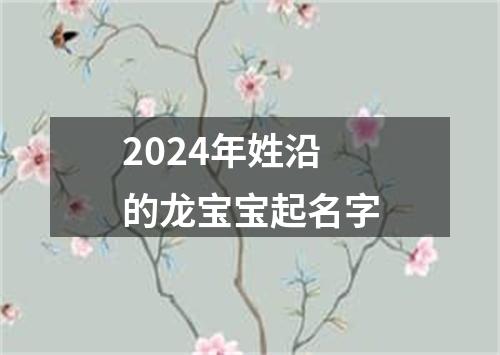 2024年姓沿的龙宝宝起名字