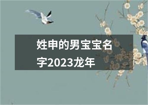 姓申的男宝宝名字2023龙年