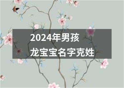 2024年男孩龙宝宝名字克姓