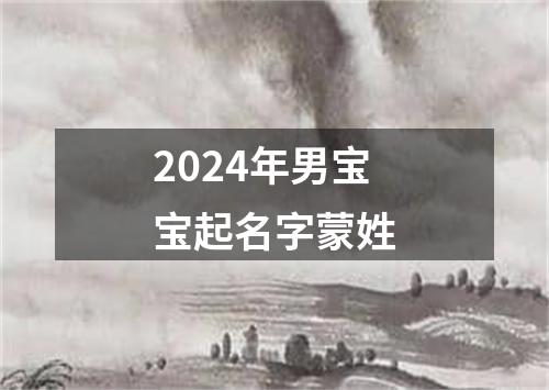 2024年男宝宝起名字蒙姓