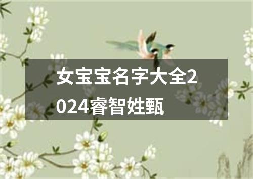 女宝宝名字大全2024睿智姓甄