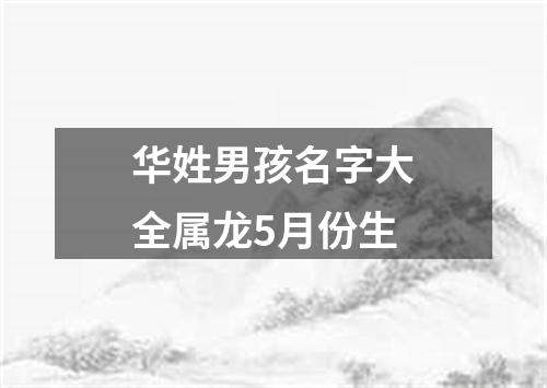 华姓男孩名字大全属龙5月份生