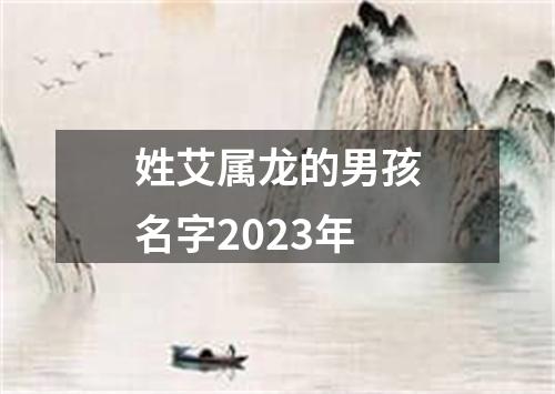 姓艾属龙的男孩名字2023年