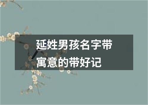 延姓男孩名字带寓意的带好记