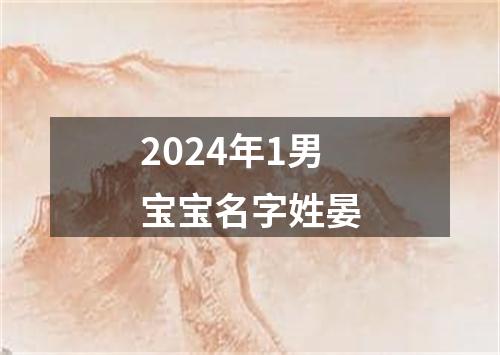 2024年1男宝宝名字姓晏