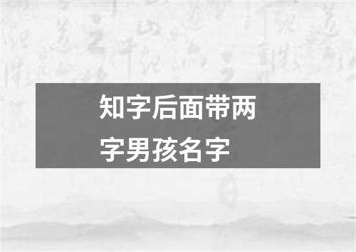 知字后面带两字男孩名字