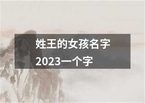 姓王的女孩名字2023一个字