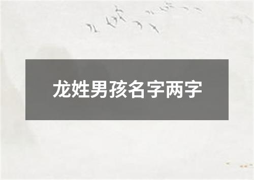 龙姓男孩名字两字