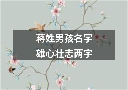 蒋姓男孩名字雄心壮志两字