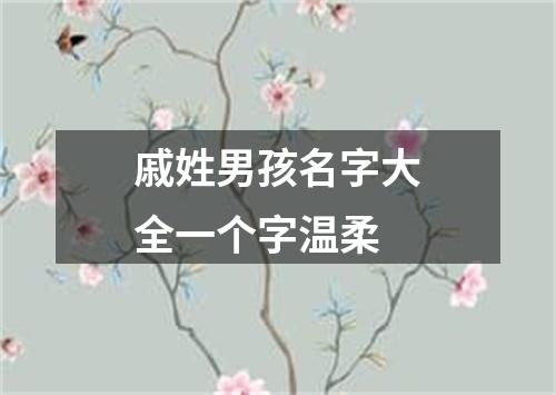 戚姓男孩名字大全一个字温柔