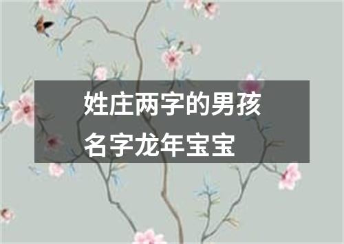 姓庄两字的男孩名字龙年宝宝