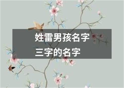 姓雷男孩名字三字的名字