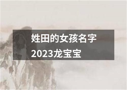 姓田的女孩名字2023龙宝宝