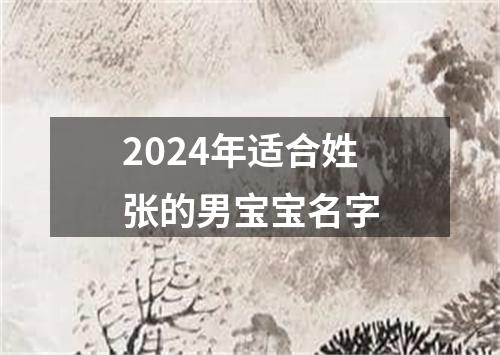 2024年适合姓张的男宝宝名字