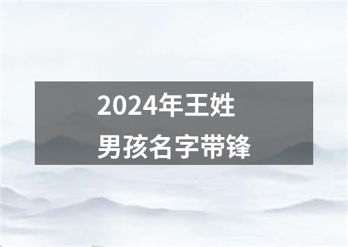 2024年王姓男孩名字带锋