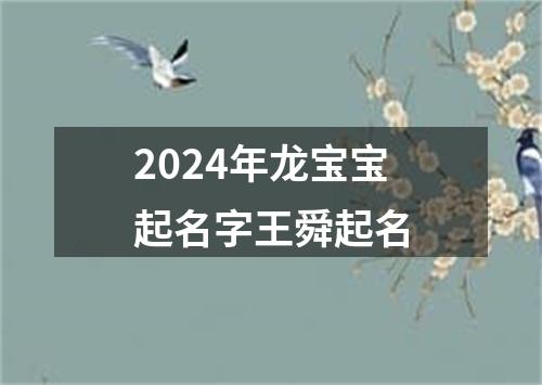 2024年龙宝宝起名字王舜起名