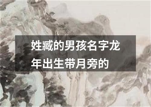 姓臧的男孩名字龙年出生带月旁的