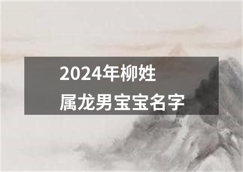 2024年柳姓属龙男宝宝名字