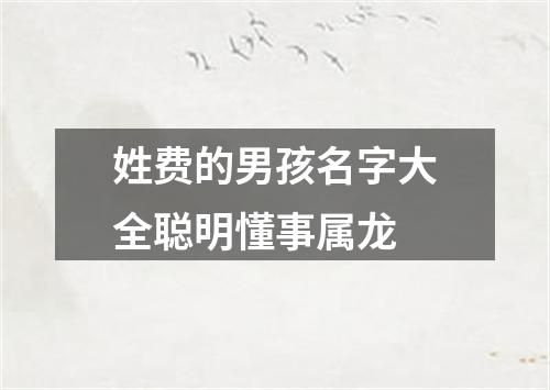 姓费的男孩名字大全聪明懂事属龙