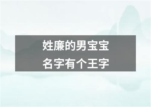 姓廉的男宝宝名字有个王字