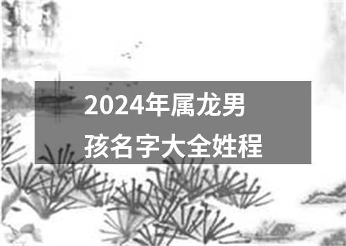 2024年属龙男孩名字大全姓程