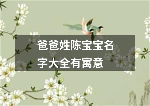 爸爸姓陈宝宝名字大全有寓意