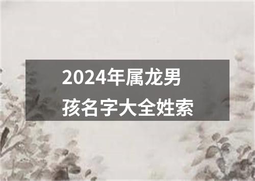 2024年属龙男孩名字大全姓索