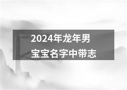 2024年龙年男宝宝名字中带志